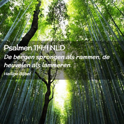 Picture 02 - Psalmen 114:4 NLD - De bergen sprongen als rammen, de heuvelen als - Bible Verse Picture