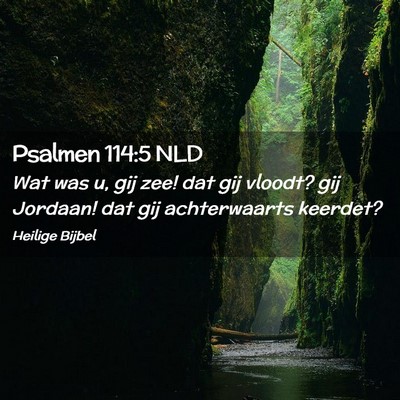 Picture 02 - Psalmen 114:5 NLD - Wat was u, gij zee! dat gij vloodt? gij Jordaan! - Bible Verse Picture