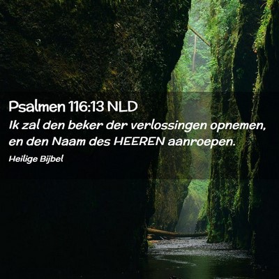 Picture 02 - Psalmen 116:13 NLD - Ik zal den beker der verlossingen opnemen, en den - Bible Verse Picture