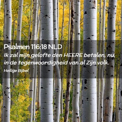 Picture 02 - Psalmen 116:18 NLD - Ik zal mijn gelofte den HEERE betalen, nu, in de - Bible Verse Picture