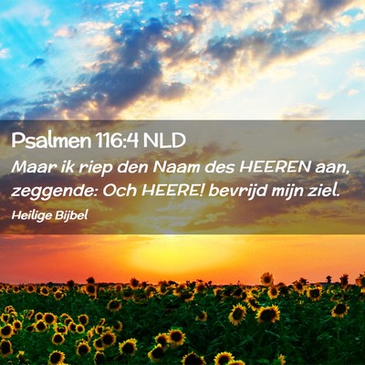 Picture 02 - Psalmen 116:4 NLD - Maar ik riep den Naam des HEEREN aan, zeggende: - Bible Verse Picture