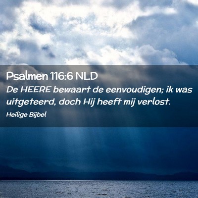 Picture 02 - Psalmen 116:6 NLD - De HEERE bewaart de eenvoudigen; ik was - Bible Verse Picture