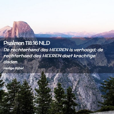 Picture 02 - Psalmen 118:16 NLD - De rechterhand des HEEREN is verhoogd; de - Bible Verse Picture