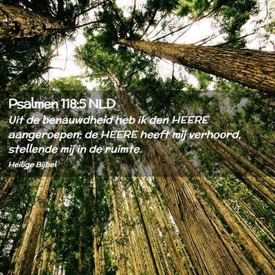 Picture 02 - Psalmen 118:5 NLD - Uit de benauwdheid heb ik den HEERE aangeroepen; - Bible Verse Picture