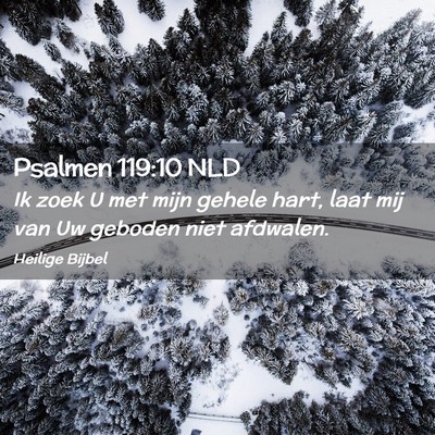 Picture 02 - Psalmen 119:10 NLD - Ik zoek U met mijn gehele hart, laat mij van Uw - Bible Verse Picture