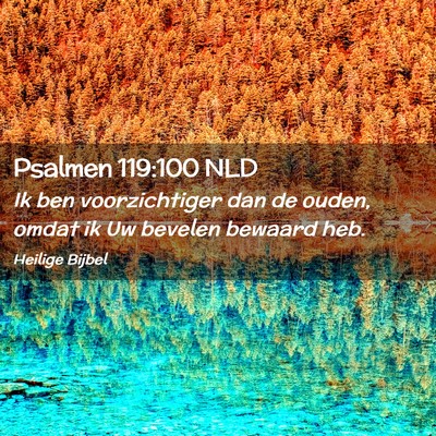 Picture 02 - Psalmen 119:100 NLD - Ik ben voorzichtiger dan de ouden, omdat ik Uw - Bible Verse Picture