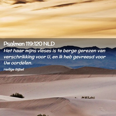 Picture 02 - Psalmen 119:120 NLD - Het haar mijns vleses is te berge gerezen van - Bible Verse Picture