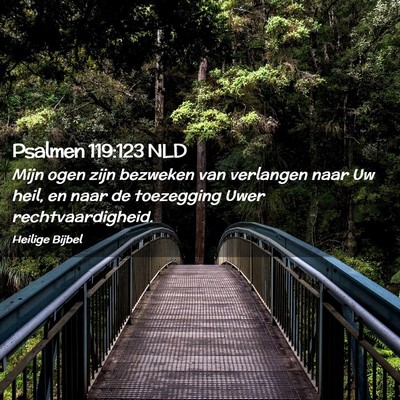Picture 02 - Psalmen 119:123 NLD - Mijn ogen zijn bezweken van verlangen naar Uw - Bible Verse Picture