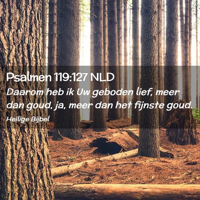 Picture 02 - Psalmen 119:127 NLD - Daarom heb ik Uw geboden lief, meer dan goud, ja, - Bible Verse Picture