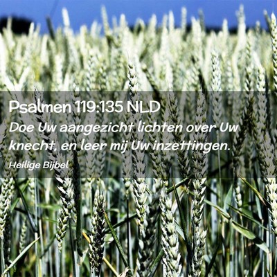 Picture 02 - Psalmen 119:135 NLD - Doe Uw aangezicht lichten over Uw knecht, en leer - Bible Verse Picture