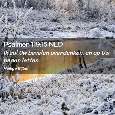 Picture 02 - Psalmen 119:15 NLD - Ik zal Uw bevelen overdenken, en op Uw paden - Bible Verse Picture