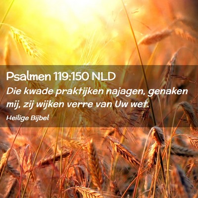 Picture 02 - Psalmen 119:150 NLD - Die kwade praktijken najagen, genaken mij, zij - Bible Verse Picture
