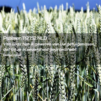 Picture 02 - Psalmen 119:152 NLD - Van ouds heb ik geweten van Uw getuigenissen, dat - Bible Verse Picture