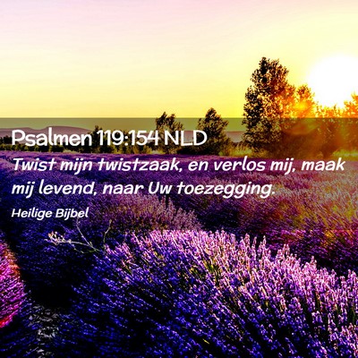 Picture 02 - Psalmen 119:154 NLD - Twist mijn twistzaak, en verlos mij, maak mij - Bible Verse Picture