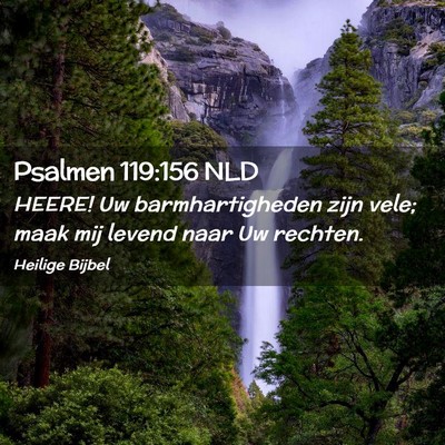 Picture 02 - Psalmen 119:156 NLD - HEERE! Uw barmhartigheden zijn vele; maak mij - Bible Verse Picture