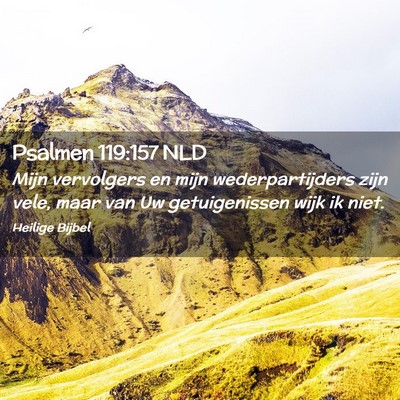 Picture 02 - Psalmen 119:157 NLD - Mijn vervolgers en mijn wederpartijders zijn - Bible Verse Picture