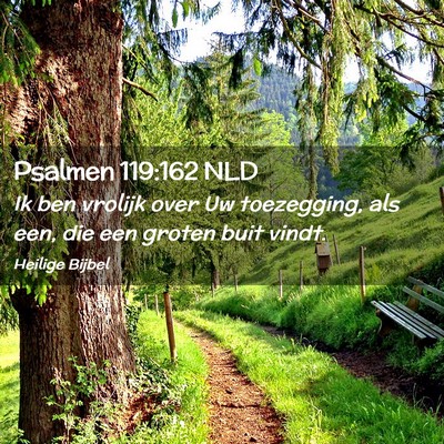 Picture 02 - Psalmen 119:162 NLD - Ik ben vrolijk over Uw toezegging, als een, die - Bible Verse Picture