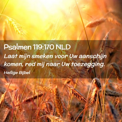 Picture 02 - Psalmen 119:170 NLD - Laat mijn smeken voor Uw aanschijn komen, red mij - Bible Verse Picture