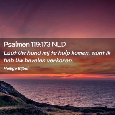 Picture 02 - Psalmen 119:173 NLD - Laat Uw hand mij te hulp komen, want ik heb Uw - Bible Verse Picture