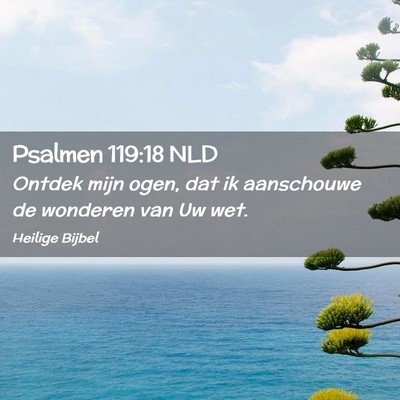 Picture 02 - Psalmen 119:18 NLD - Ontdek mijn ogen, dat ik aanschouwe de wonderen - Bible Verse Picture