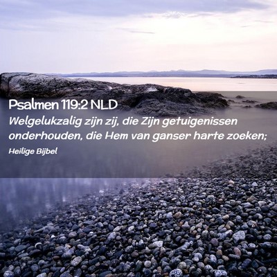 Picture 02 - Psalmen 119:2 NLD - Welgelukzalig zijn zij, die Zijn getuigenissen - Bible Verse Picture