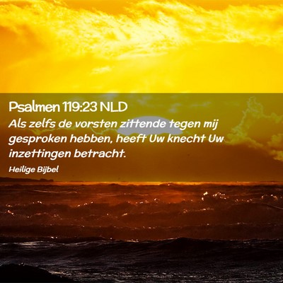 Picture 02 - Psalmen 119:23 NLD - Als zelfs de vorsten zittende tegen mij gesproken - Bible Verse Picture