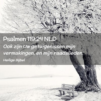 Picture 02 - Psalmen 119:24 NLD - Ook zijn Uw getuigenissen mijn vermakingen, en - Bible Verse Picture