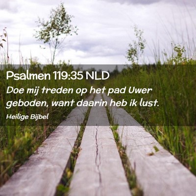 Picture 02 - Psalmen 119:35 NLD - Doe mij treden op het pad Uwer geboden, want - Bible Verse Picture