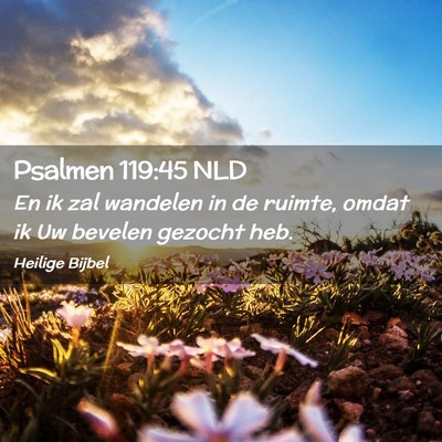 Picture 02 - Psalmen 119:45 NLD - En ik zal wandelen in de ruimte, omdat ik Uw - Bible Verse Picture