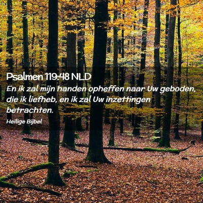 Picture 02 - Psalmen 119:48 NLD - En ik zal mijn handen opheffen naar Uw geboden, - Bible Verse Picture