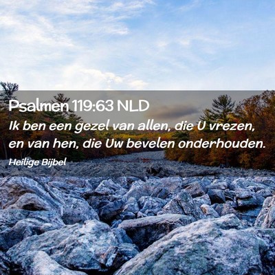 Picture 02 - Psalmen 119:63 NLD - Ik ben een gezel van allen, die U vrezen, en van - Bible Verse Picture