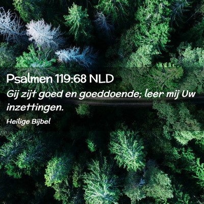 Picture 02 - Psalmen 119:68 NLD - Gij zijt goed en goeddoende; leer mij Uw - Bible Verse Picture