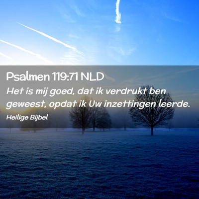 Picture 02 - Psalmen 119:71 NLD - Het is mij goed, dat ik verdrukt ben geweest, - Bible Verse Picture