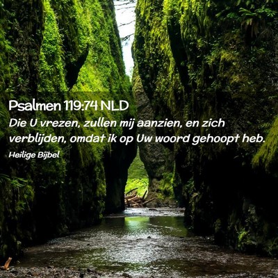 Picture 02 - Psalmen 119:74 NLD - Die U vrezen, zullen mij aanzien, en zich - Bible Verse Picture