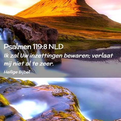 Picture 02 - Psalmen 119:8 NLD - Ik zal Uw inzettingen bewaren; verlaat mij niet - Bible Verse Picture