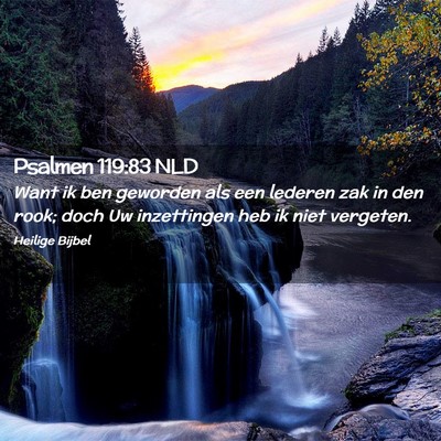 Picture 02 - Psalmen 119:83 NLD - Want ik ben geworden als een lederen zak in den - Bible Verse Picture