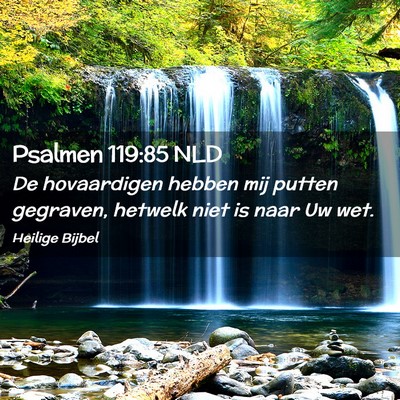 Picture 02 - Psalmen 119:85 NLD - De hovaardigen hebben mij putten gegraven, - Bible Verse Picture