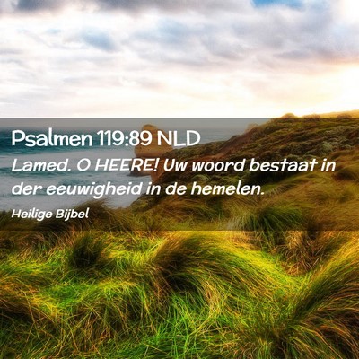 Picture 02 - Psalmen 119:89 NLD - Lamed. O HEERE! Uw woord bestaat in der - Bible Verse Picture