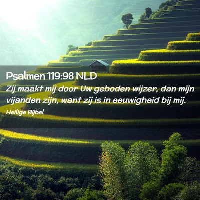 Picture 02 - Psalmen 119:98 NLD - Zij maakt mij door Uw geboden wijzer, dan mijn - Bible Verse Picture