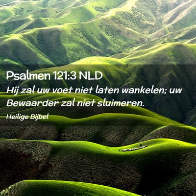 Picture 02 - Psalmen 121:3 NLD - Hij zal uw voet niet laten wankelen; uw Bewaarder - Bible Verse Picture