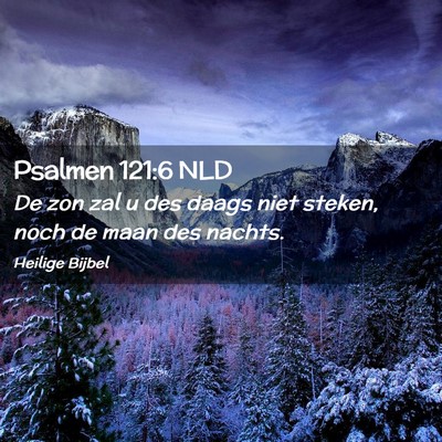 Picture 02 - Psalmen 121:6 NLD - De zon zal u des daags niet steken, noch de maan - Bible Verse Picture