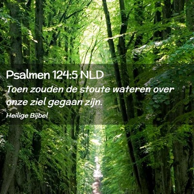 Picture 02 - Psalmen 124:5 NLD - Toen zouden de stoute wateren over onze ziel - Bible Verse Picture