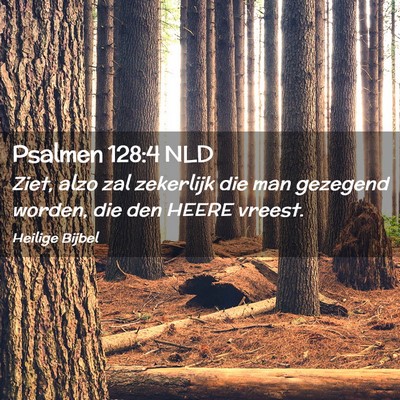 Picture 02 - Psalmen 128:4 NLD - Ziet, alzo zal zekerlijk die man gezegend worden, - Bible Verse Picture