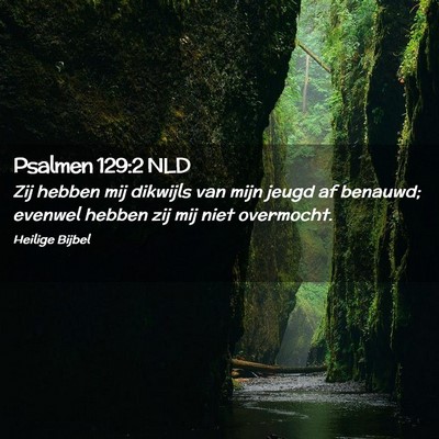 Picture 02 - Psalmen 129:2 NLD - Zij hebben mij dikwijls van mijn jeugd af - Bible Verse Picture