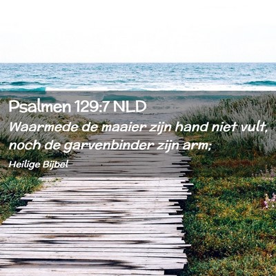 Picture 02 - Psalmen 129:7 NLD - Waarmede de maaier zijn hand niet vult, noch de - Bible Verse Picture