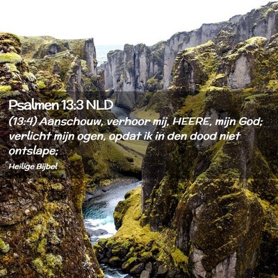 Picture 02 - Psalmen 13:3 NLD - (13:4) Aanschouw, verhoor mij, HEERE, mijn God; - Bible Verse Picture
