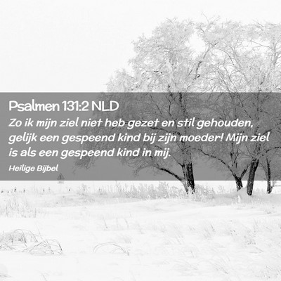 Picture 02 - Psalmen 131:2 NLD - Zo ik mijn ziel niet heb gezet en stil gehouden, - Bible Verse Picture