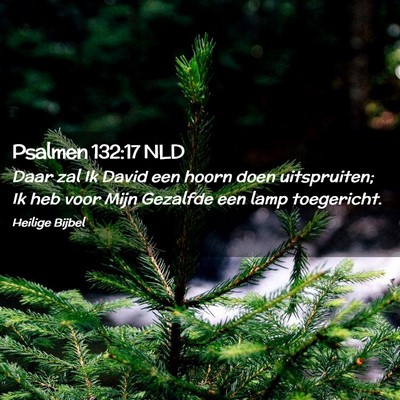 Picture 02 - Psalmen 132:17 NLD - Daar zal Ik David een hoorn doen uitspruiten; Ik - Bible Verse Picture