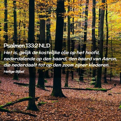 Picture 02 - Psalmen 133:2 NLD - Het is, gelijk de kostelijke olie op het hoofd, - Bible Verse Picture