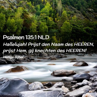 Picture 02 - Psalmen 135:1 NLD - Hallelujah! Prijst den Naam des HEEREN, prijst - Bible Verse Picture